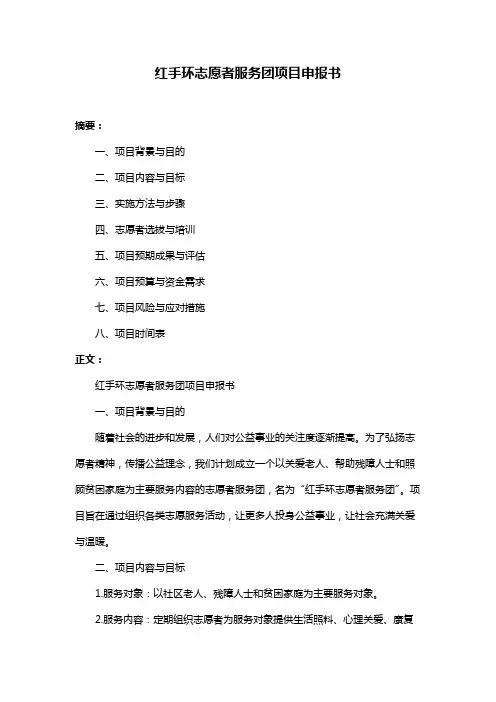 红手环志愿者服务团项目申报书