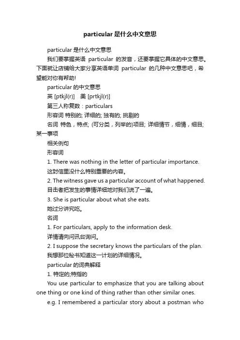 particular是什么中文意思