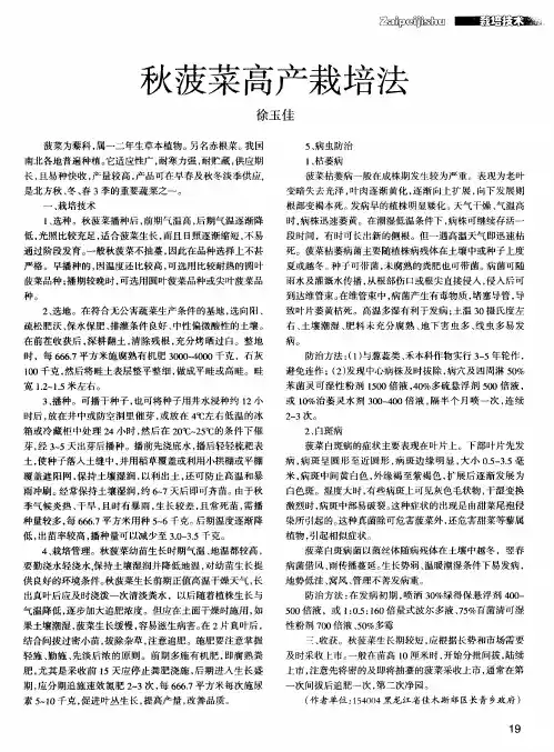 秋菠菜高产栽培法