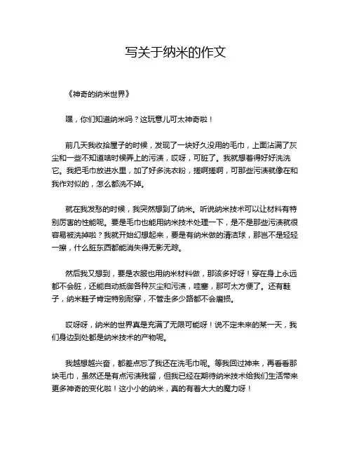 写关于纳米的作文