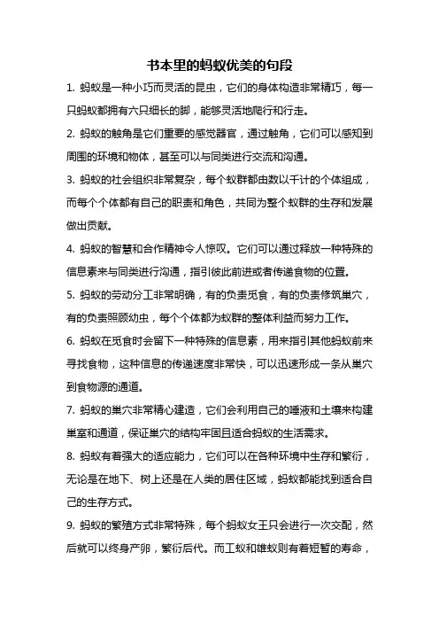 书本里的蚂蚁优美的句段