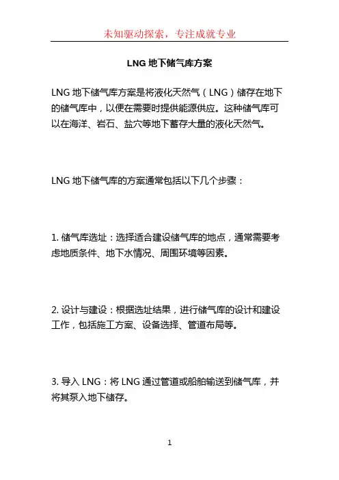 LNG地下储气库方案 (2)