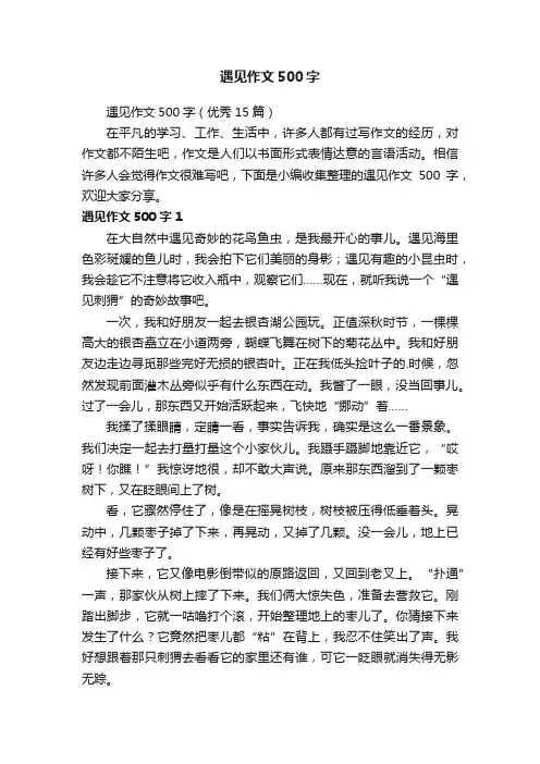 遇见作文500字（优秀15篇）