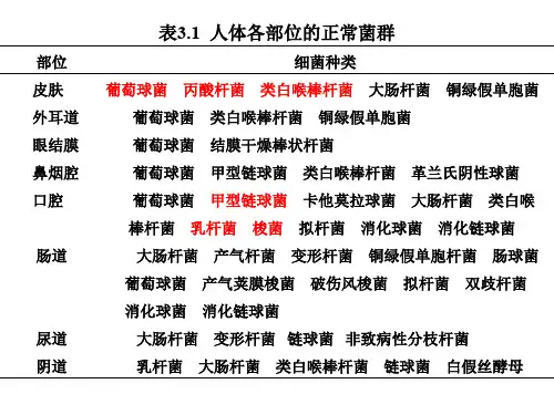正常菌群的分布人体各部位的正常菌群
