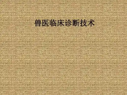 兽医临床诊断技术ppt课件