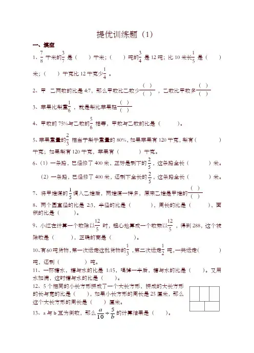 苏教版 六年级 数学 上册 提优训练1-精选
