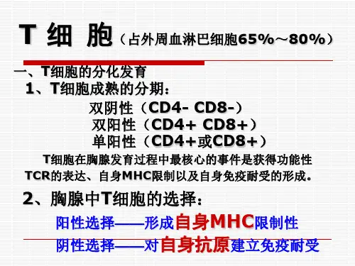10第十章 T淋巴细胞