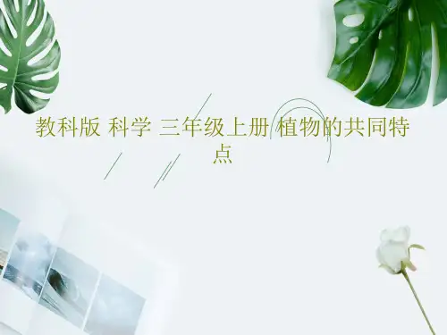 教科版 科学 三年级上册 植物的共同特点PPT23页