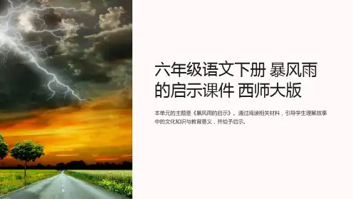 六年级语文下册 暴风雨的启示课件 西师大版