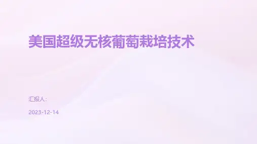 美国超级无核葡萄栽培技术