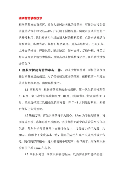 油茶树的移植技术