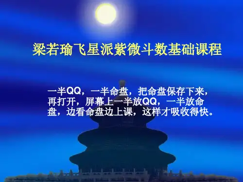 飞星紫微斗数基础