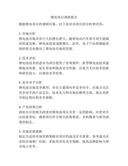 锂电项目调研报告