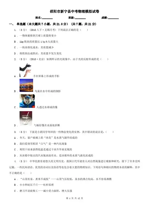 邵阳市新宁县中考物理模拟试卷
