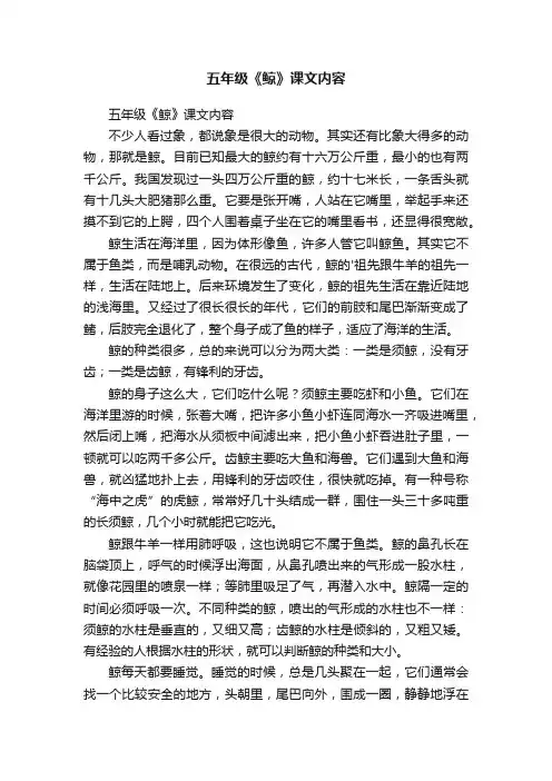 五年级《鲸》课文内容