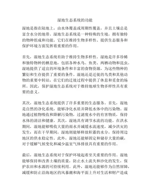 湿地生态系统的功能