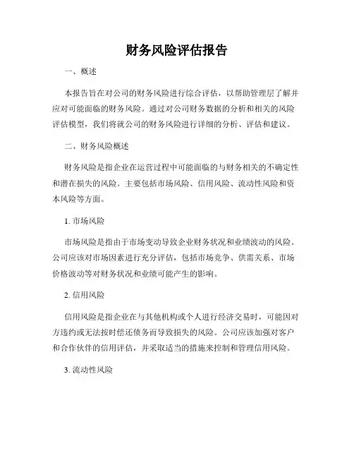 财务风险评估报告