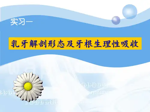 乳牙解剖形态及牙根生理性吸收