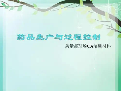 药品生产与过程控制.ppt