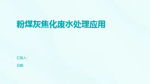 粉煤灰焦化废水处理应用