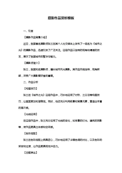 摄影作品赏析模板