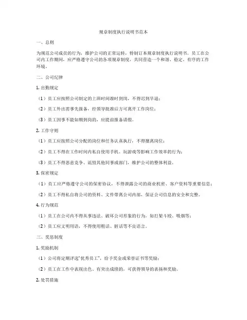 规章制度执行说明书范本