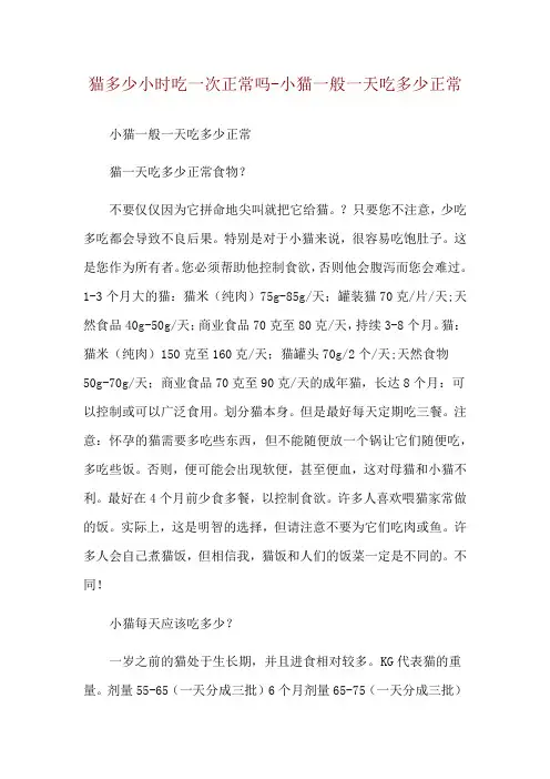 猫多少小时吃一次正常吗-小猫一般一天吃多少正常