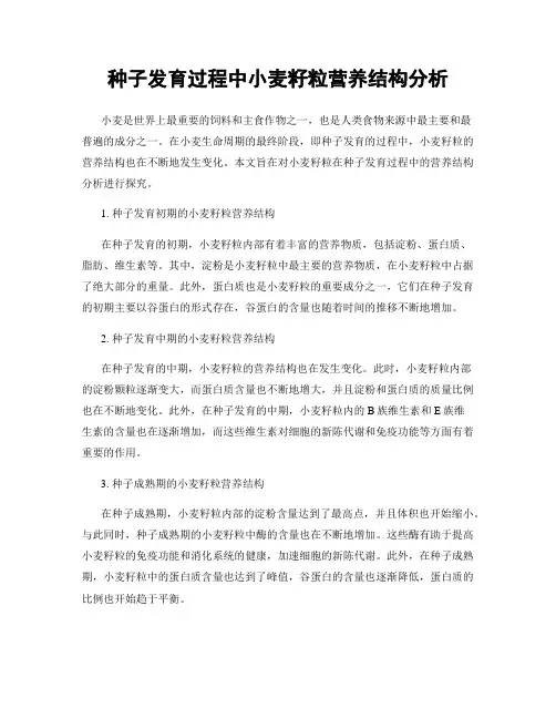 种子发育过程中小麦籽粒营养结构分析