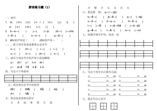幼儿园大班拼音练习题