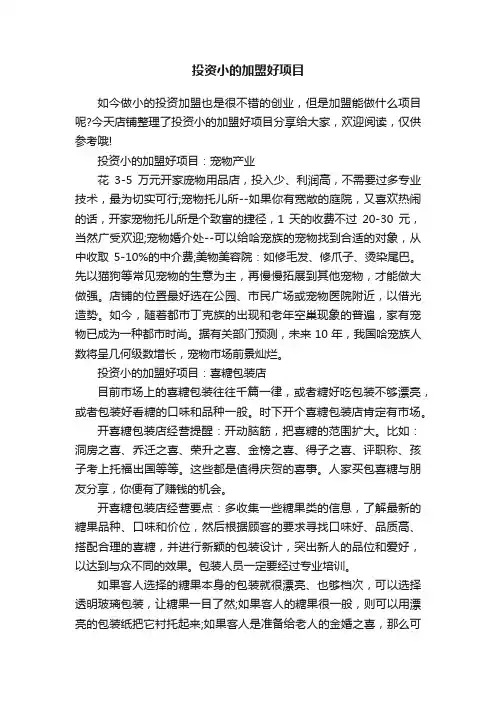 投资小的加盟好项目
