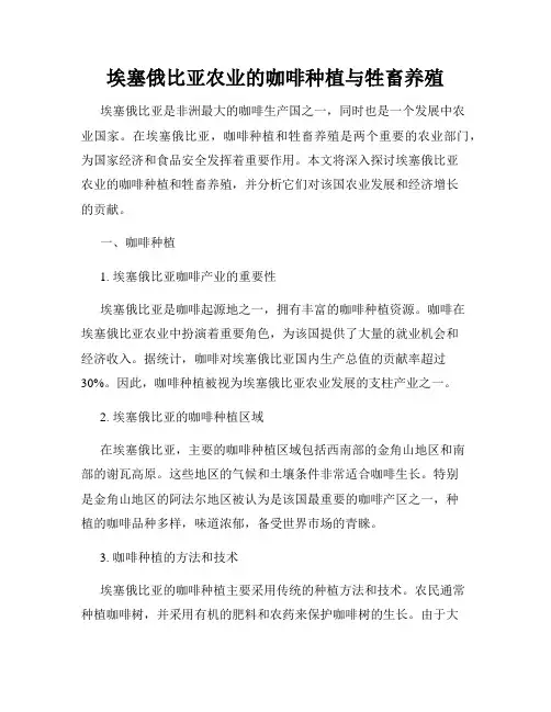 埃塞俄比亚农业的咖啡种植与牲畜养殖