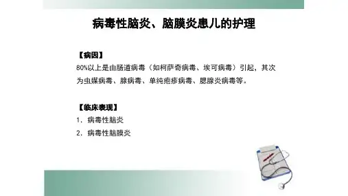 病毒性脑炎、脑膜炎患儿的护理