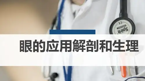 眼球的解剖