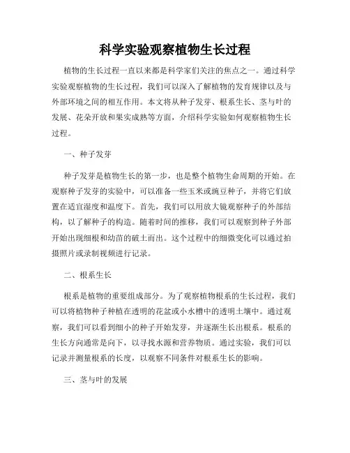 科学实验观察植物生长过程