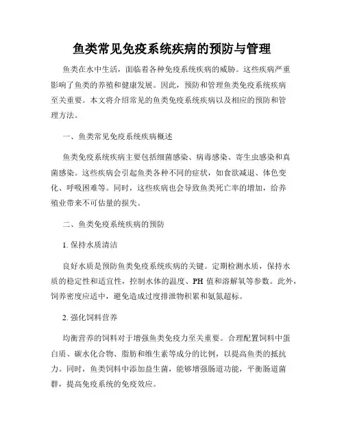 鱼类常见免疫系统疾病的预防与管理