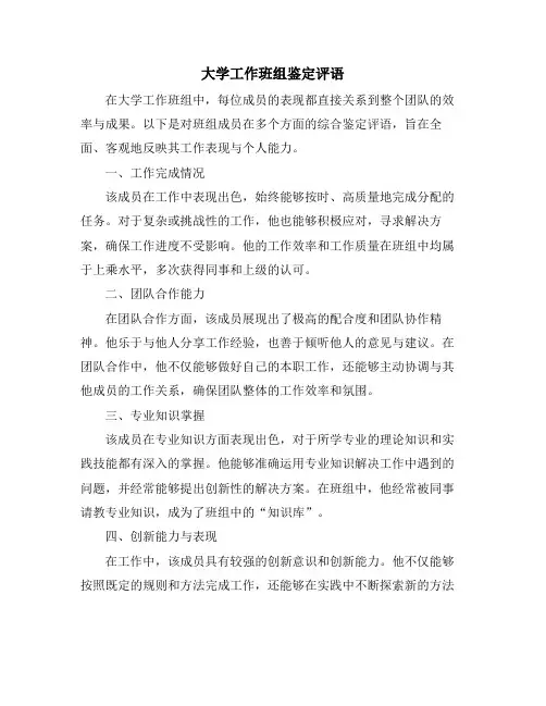 大学工作班组鉴定评语