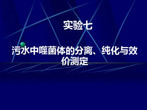 实验8 污水中噬菌体的分离与效价测定