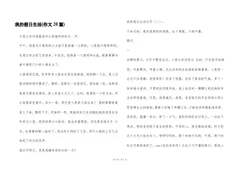 我的假日生活(作文20篇)