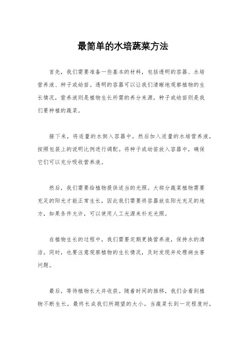 最简单的水培蔬菜方法