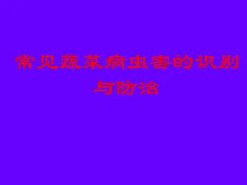 常见蔬菜病虫害的识别与防治(1)