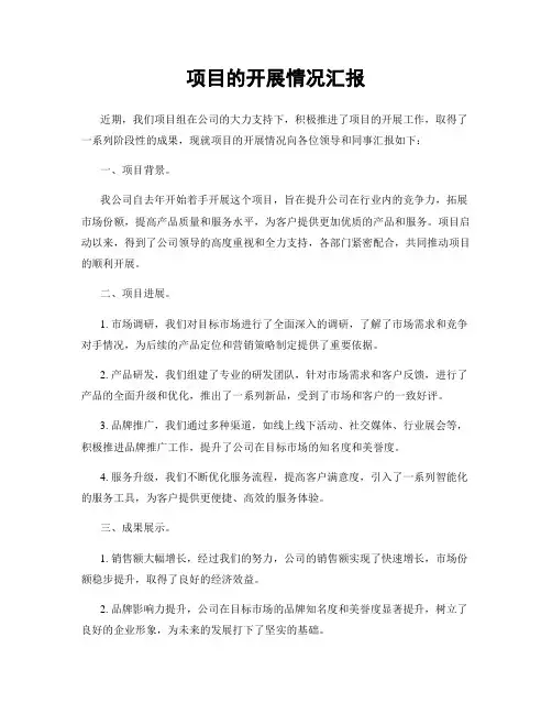 项目的开展情况汇报