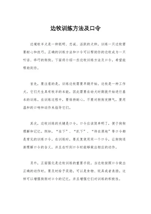 边牧训练方法及口令