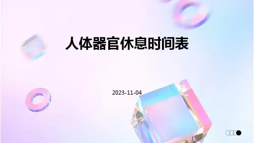 人体器官休息时间表