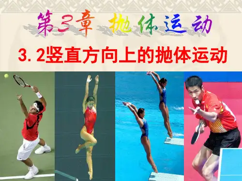 竖直方向抛体运动