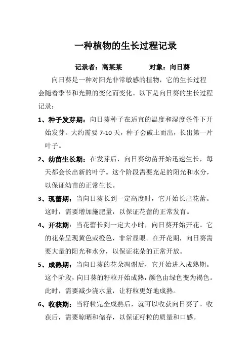 一种植物的生长过程记录