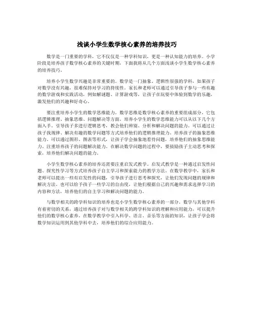 浅谈小学生数学核心素养的培养技巧