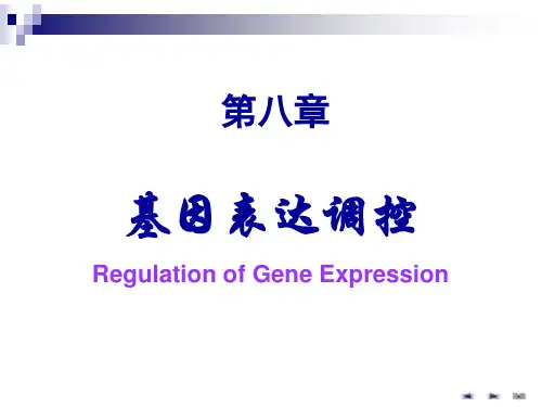 临床医学考研  生物化学 基因表达必看------基因表达调控