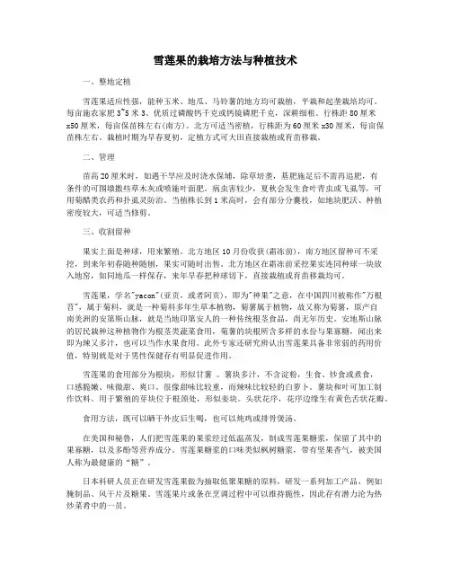 雪莲果的栽培方法与种植技术