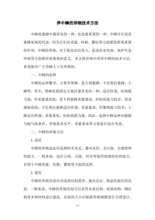 养中蜂的详细技术方法
