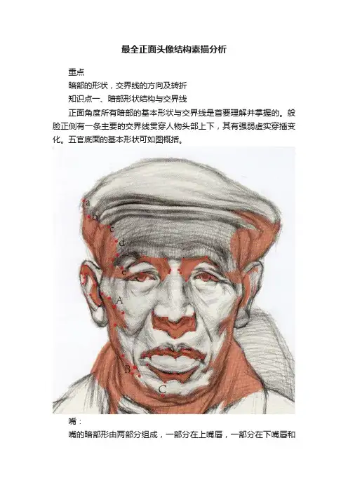最全正面头像结构素描分析